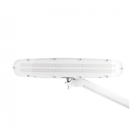 LEMPA LED ELEGANTE 801-TL Z SU DIDELIU ŠVIESOS INTENSYVUMU