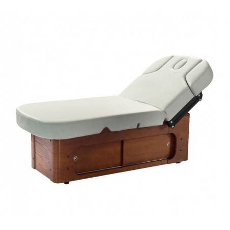 SPA masažinis kosmetologinis gultas, elektrinis