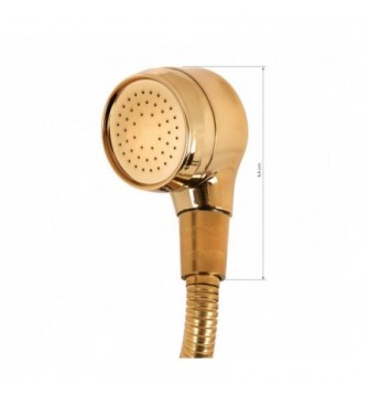 Auksinis kirpyklinės plautuvės maišytuvas