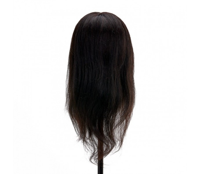 Gabbiano WZ1 kirpėjų mokymo galva, natūralūs plaukai, spalva 1H, ilgis 30cm