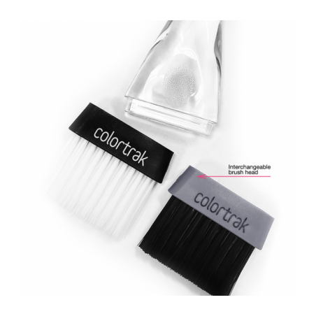 COLORTRAK Keičiamos galvutės šepetėliams "AMBASSADOR"