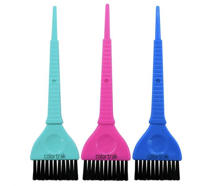 COLORTRAK Dažymo šepetėlių ir indelių rinkinys "COLOR CADDY"