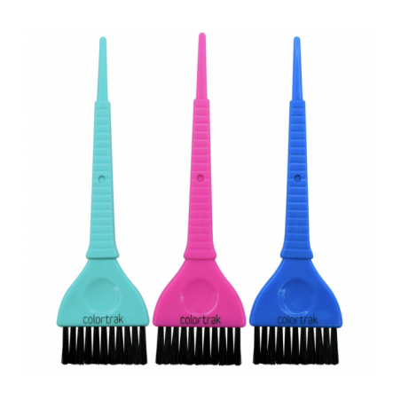 COLORTRAK Dažymo šepetėlių ir indelių rinkinys "COLOR CADDY"
