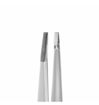 STALEKS PRO Antakių pincetas EXPERT 10 type 2 (TE-10/2)