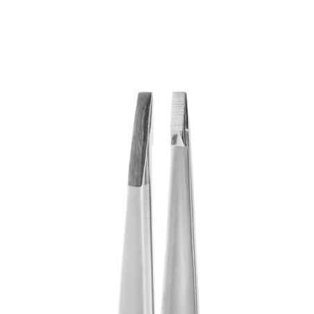 STALEKS PRO Antakių pincetas EXPERT 10 type 2 (TE-10/2)