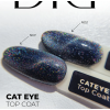 "Didier Lab" efektinis gelinis lakas TOP COAT "Cat eye", No2