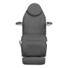Elektrinis kosmetinis fotelis Sillon Basic. pilka spalva