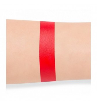 Danessa Myrics Beauty Colorfix mattes 24h PRIMARY RED