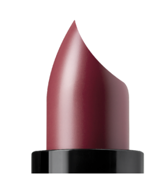 Lūpų dažai "My lipstick" ASTRA 23