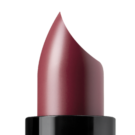 Lūpų dažai "My lipstick" ASTRA 23
